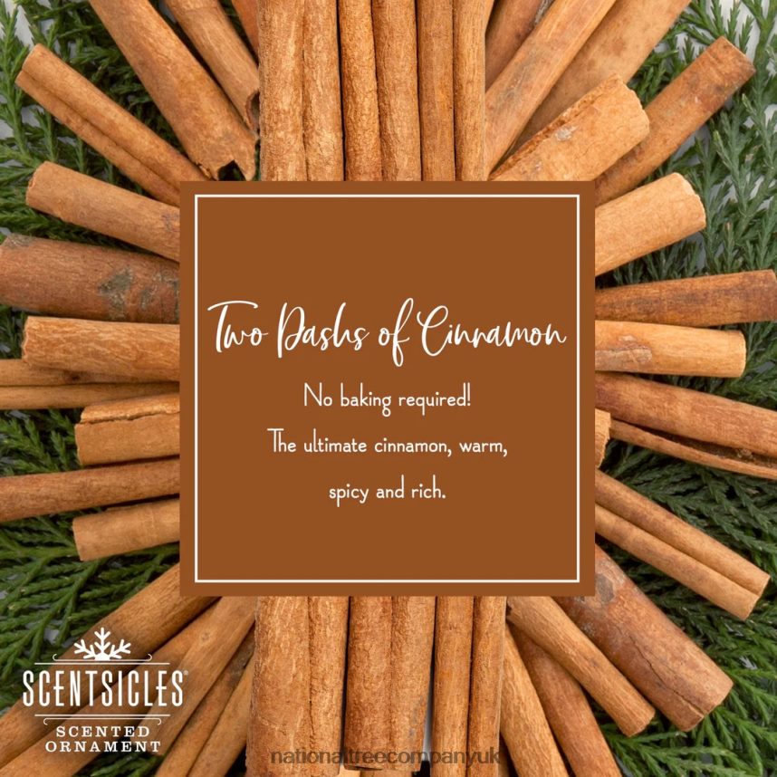 decoration | National Tree Company Scented Ornaments 2-Pack- 6ct Bottle 2 Dashes of Cinnamon Fragrance-Infused Paper Sticks F2L4F546